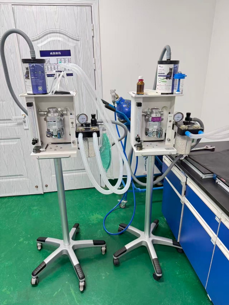 四川橫豎生物科技股份有限公司-大動(dòng)物麻醉機(jī)安裝完成